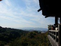 20121026_120550.jpg